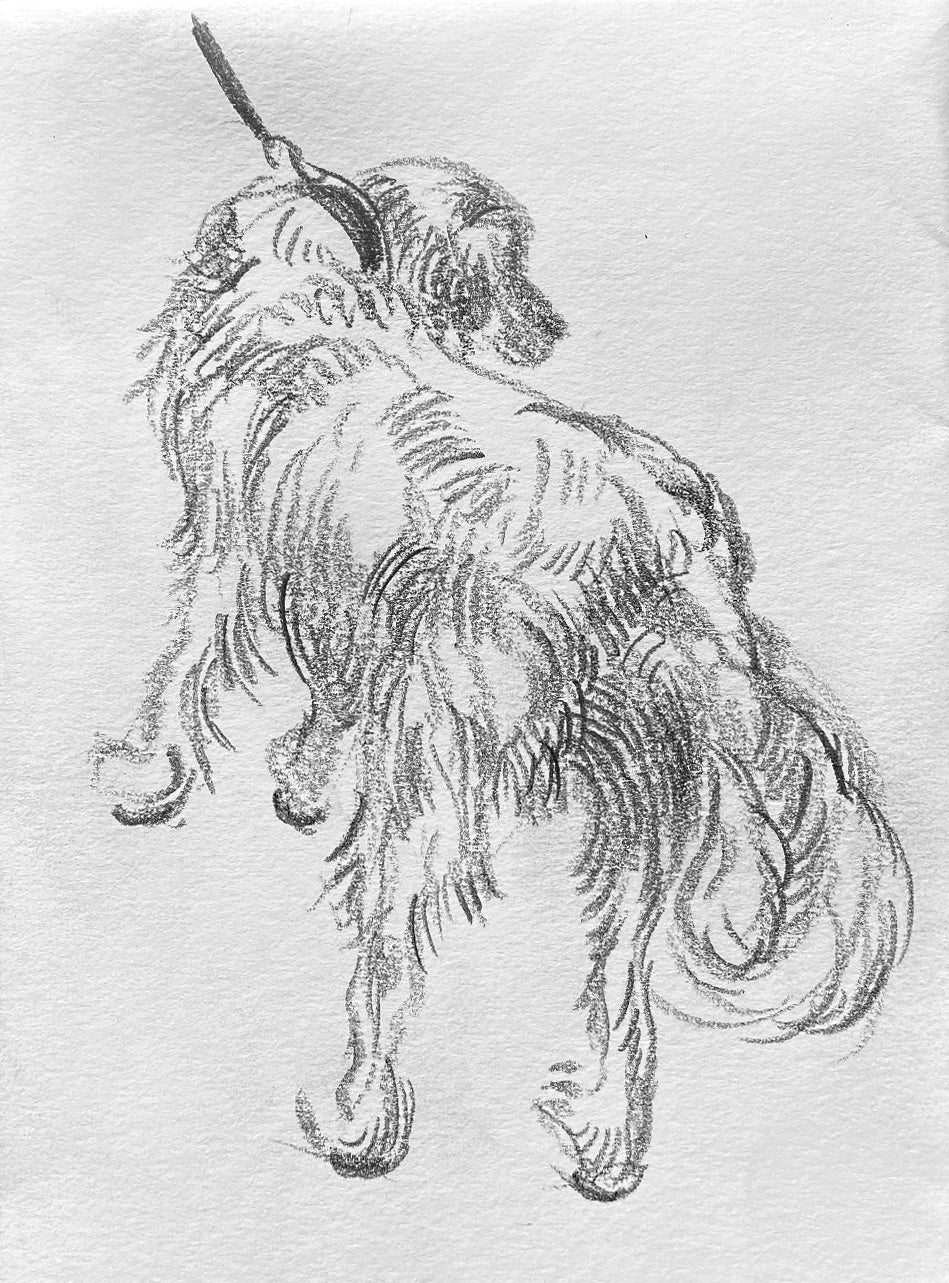 Dog Sketch, 2025