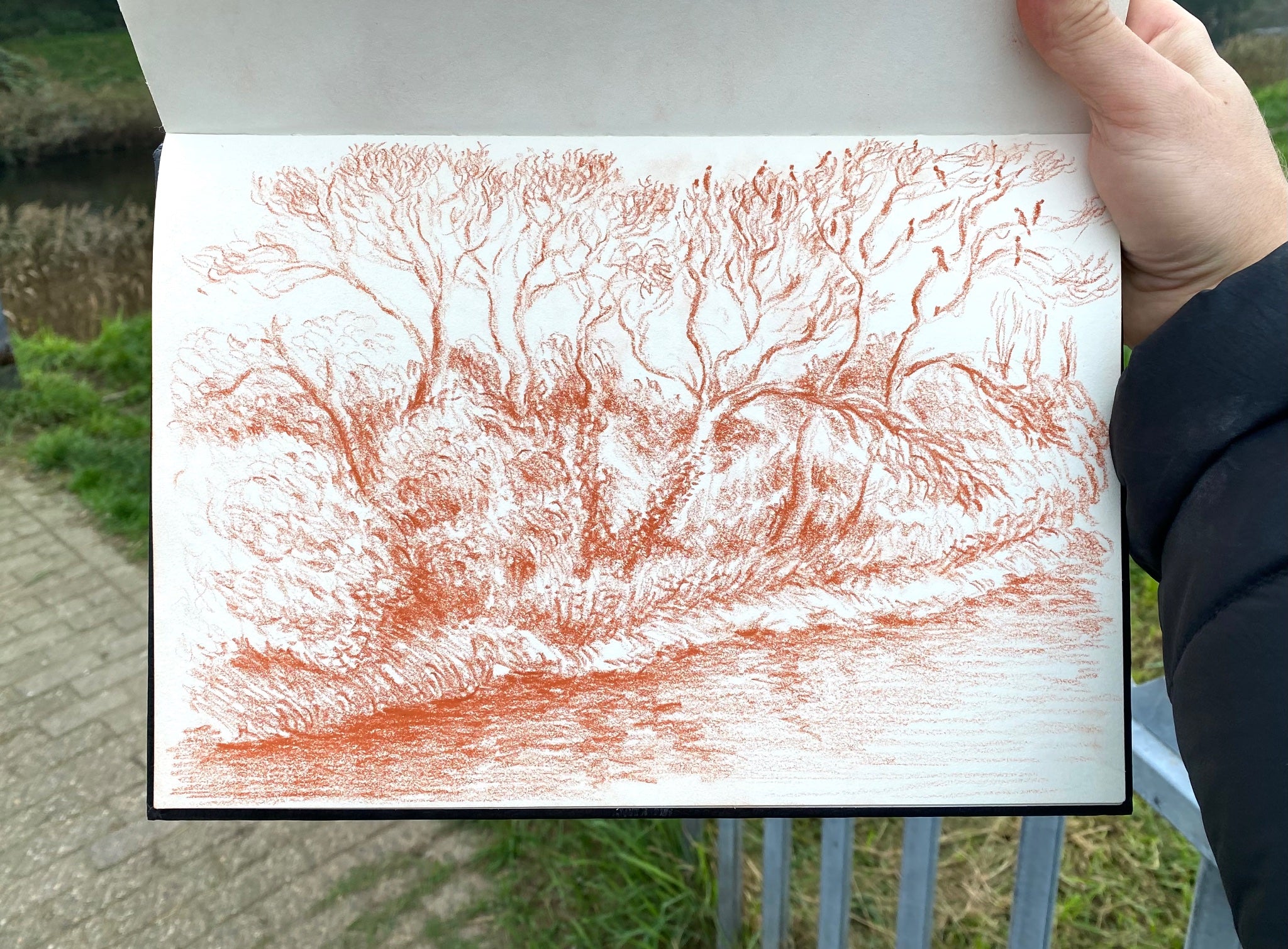 Trees with Crows, 2025