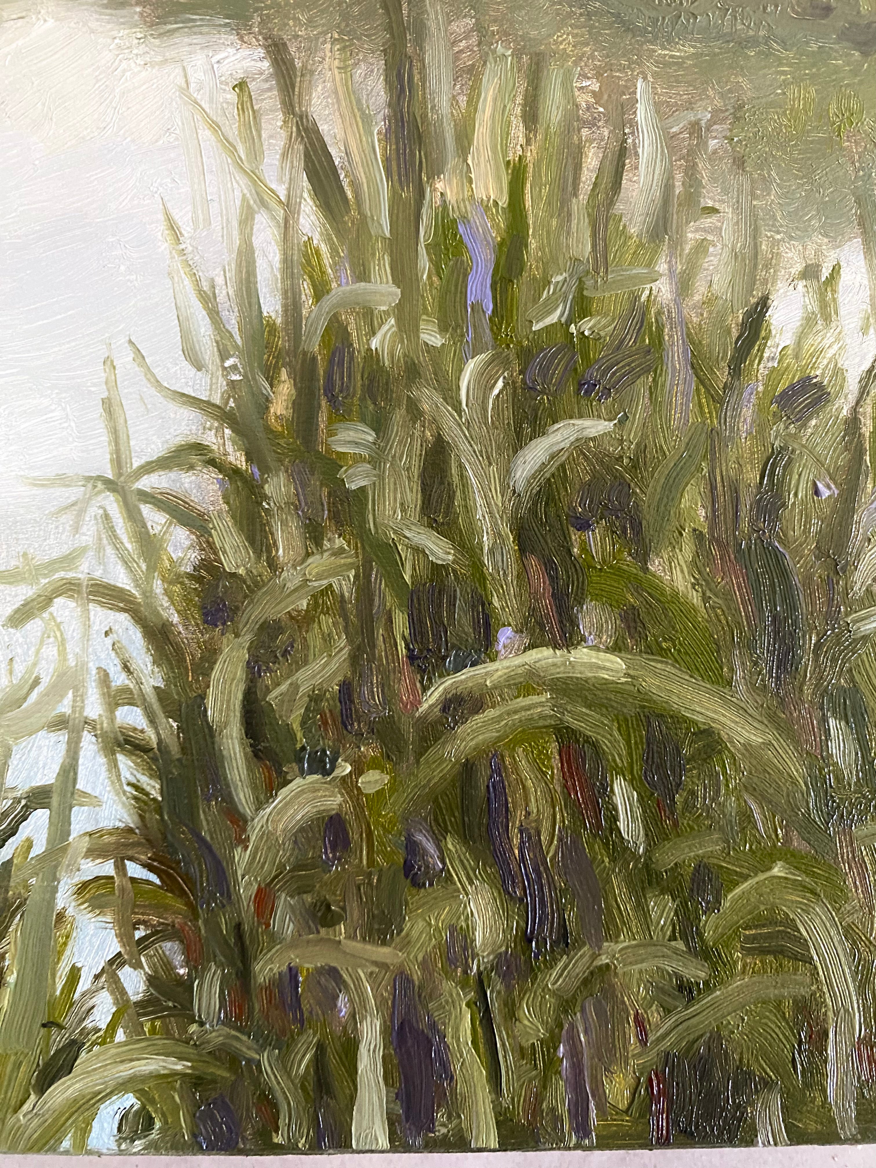 Landscape, 2025