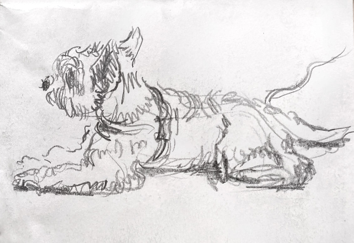 Dog Sketch, 2025