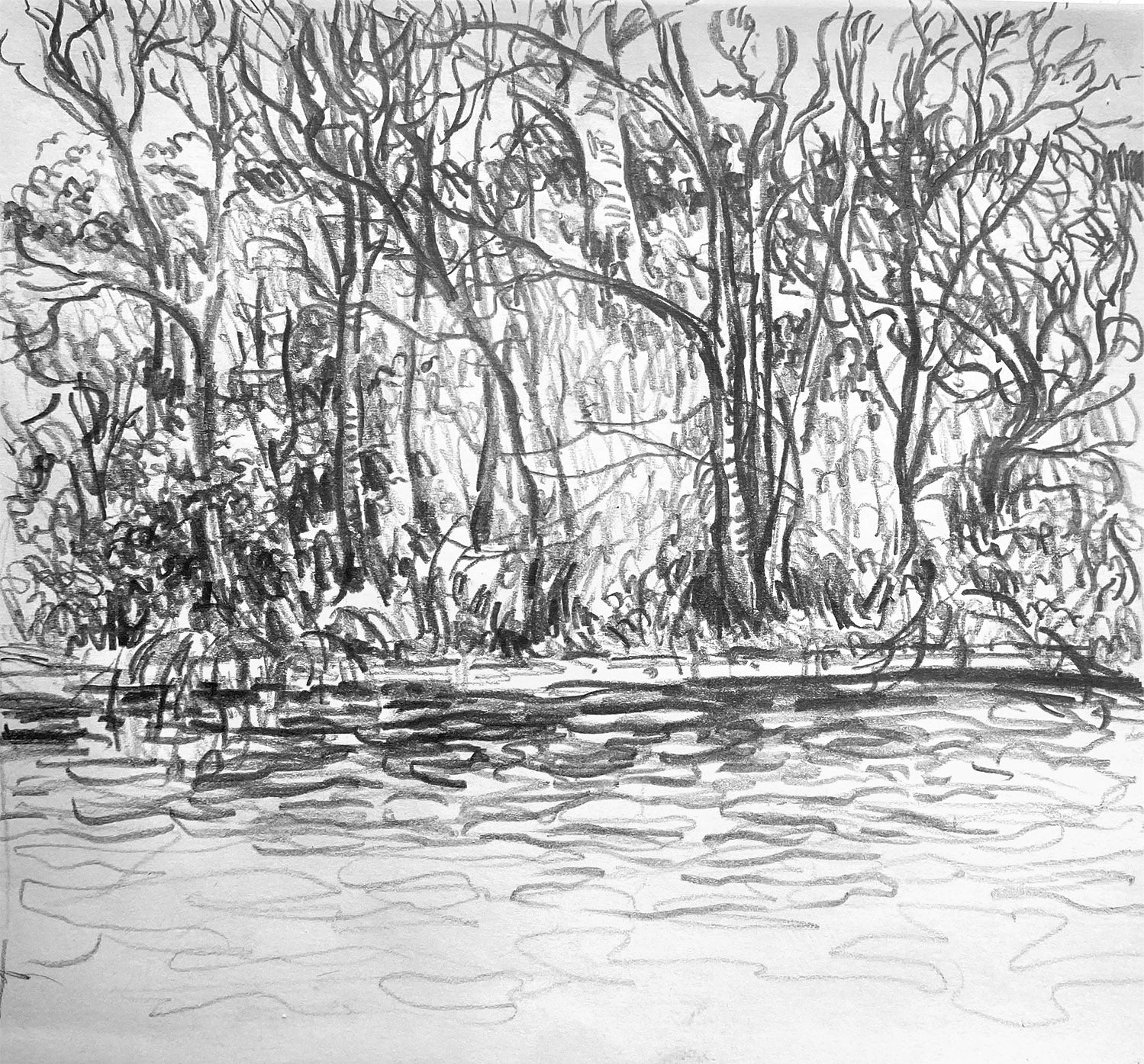 Riverbank, 2025