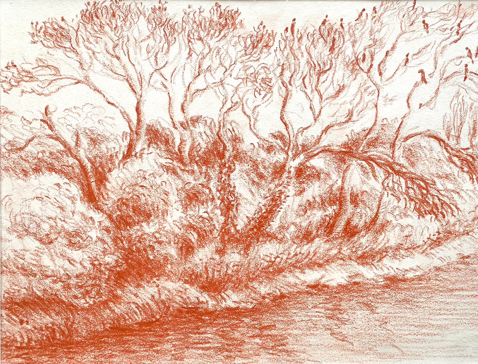 Trees with Crows, 2025