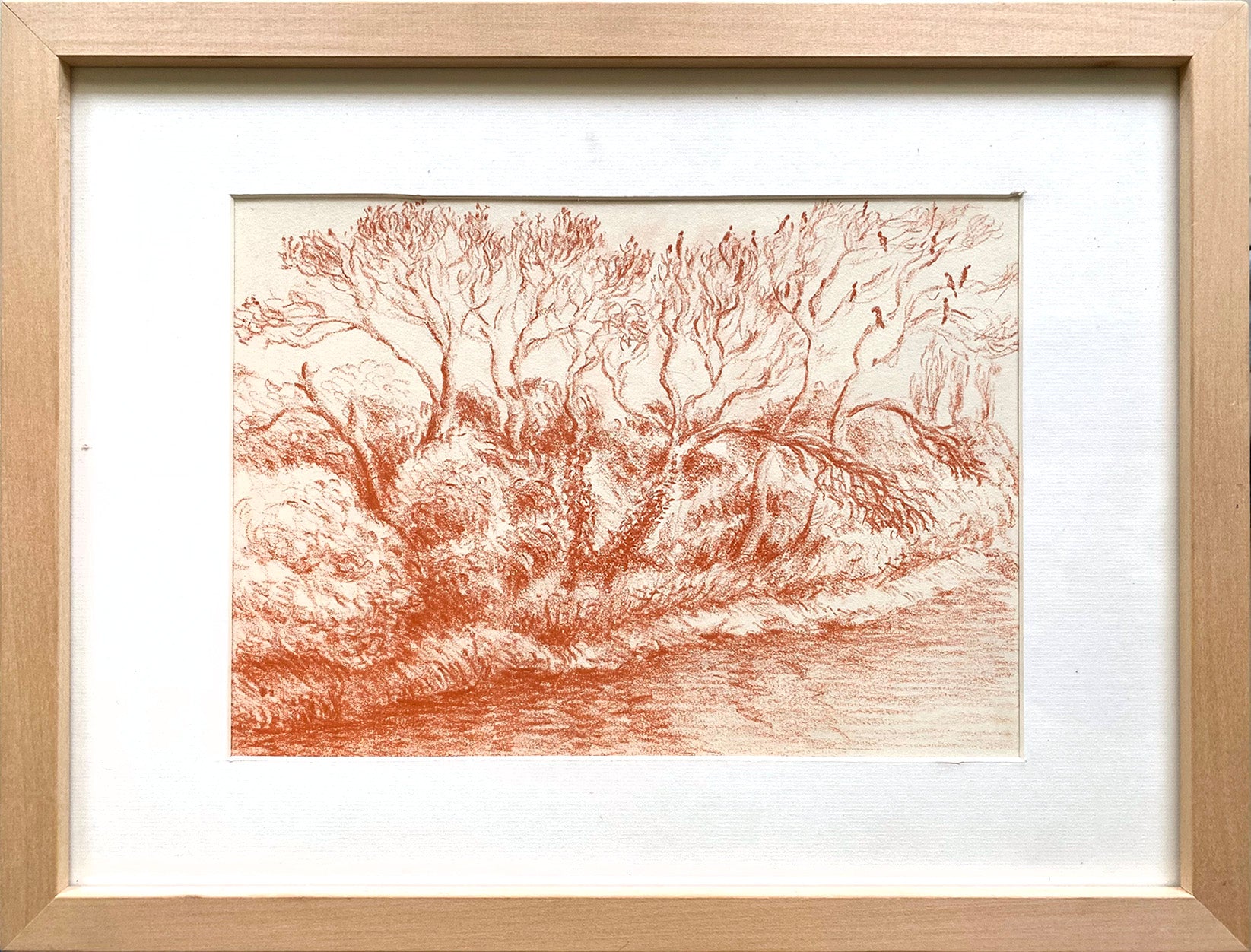 Trees with Crows, 2025