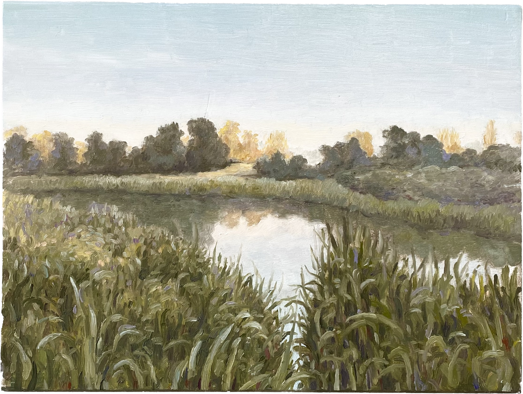 Landscape, 2025
