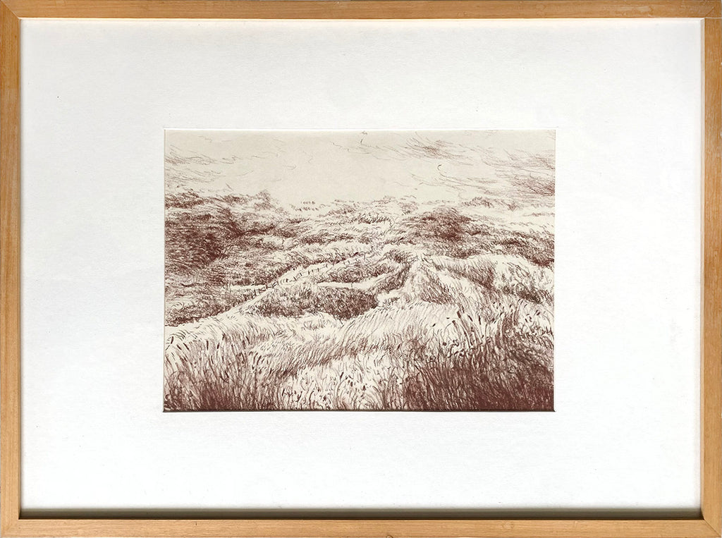 Dunes of Scheveningen, 2025