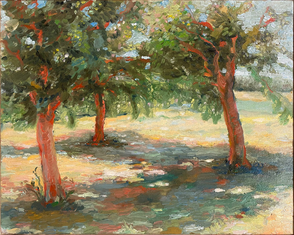 Paul's Garden, 2025